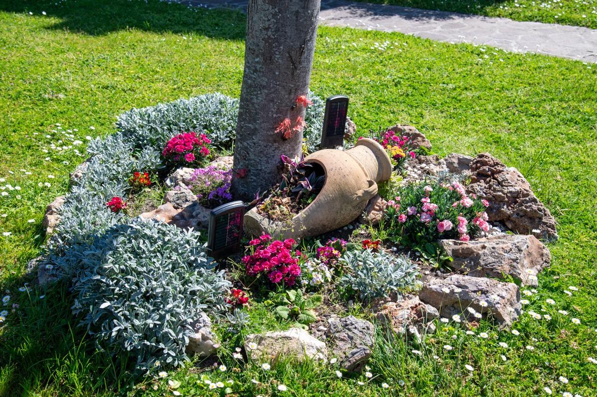 Villa - San Giuliano Terme (14/51)