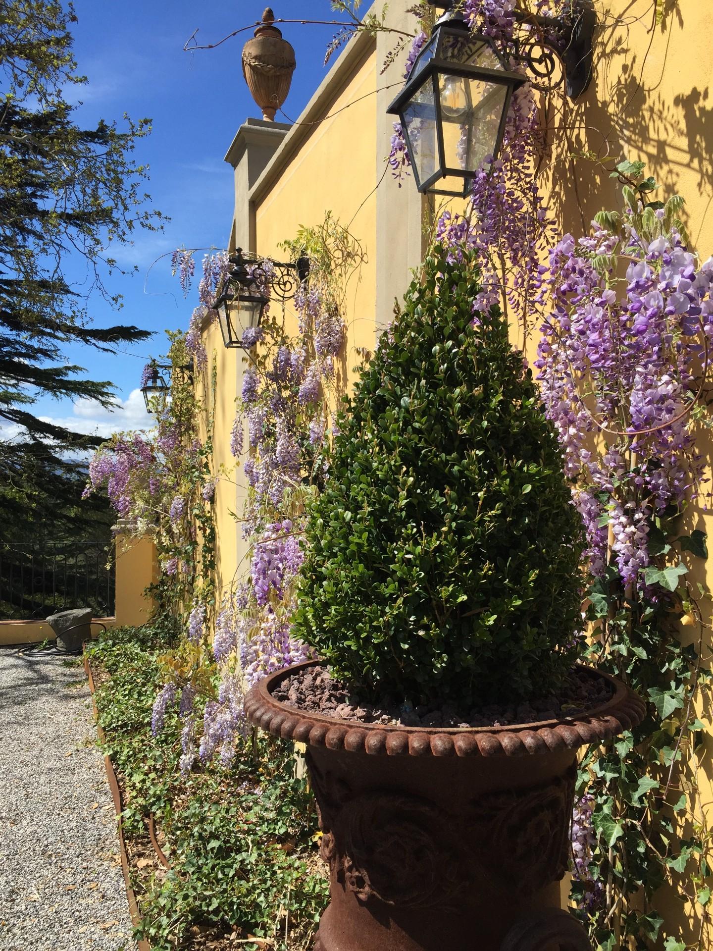 Villa - Casciana Terme Lari (64/65)