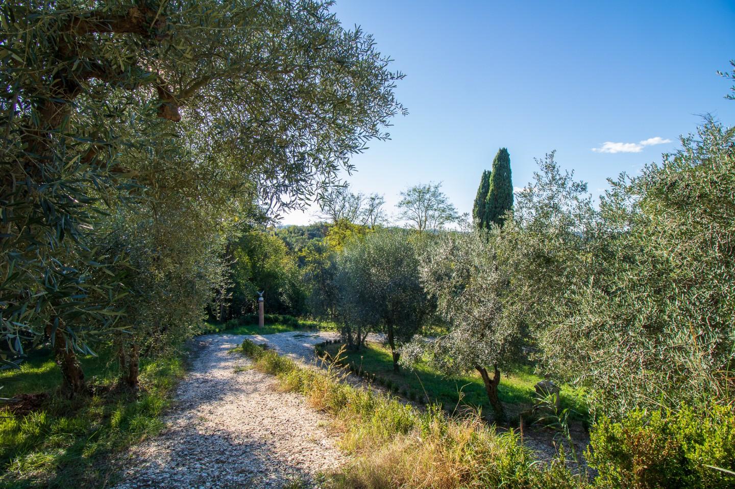 Villa - Casciana Terme Lari (24/65)
