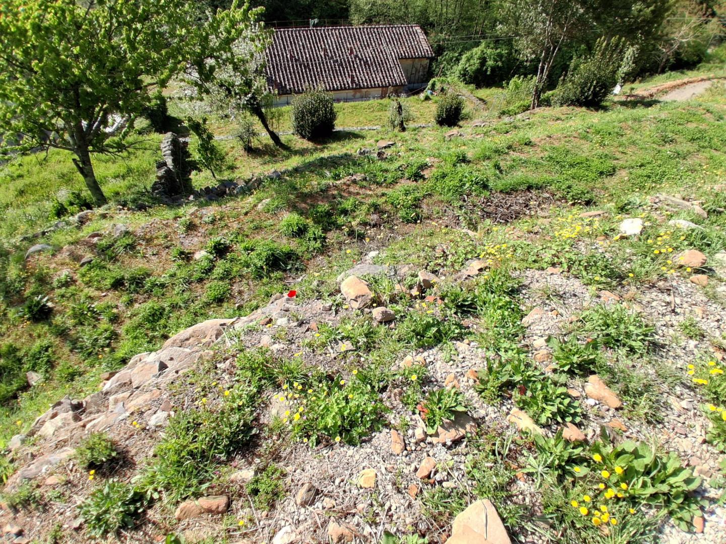 Rustico - Sant'andrea Di Compito, Capannori (5/40)