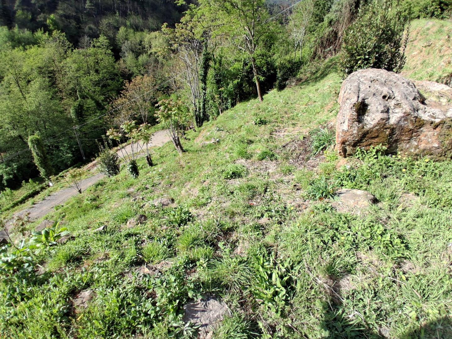 Rustico - Sant'andrea Di Compito, Capannori (40/40)