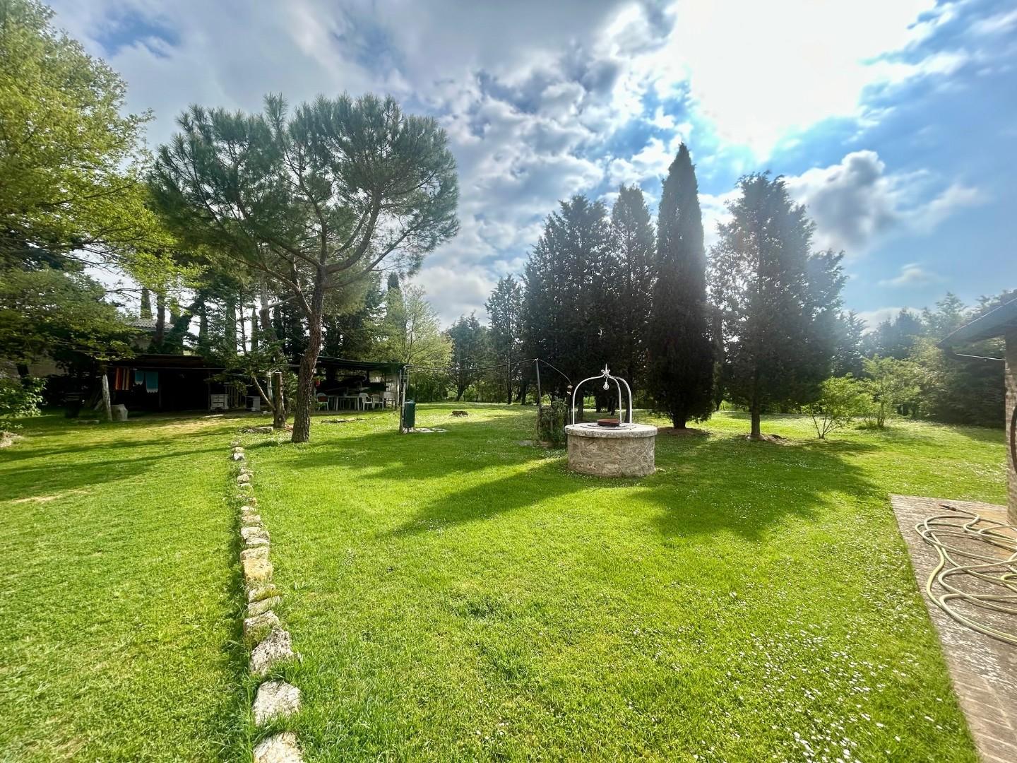 Colonica - Asciano (11/32)