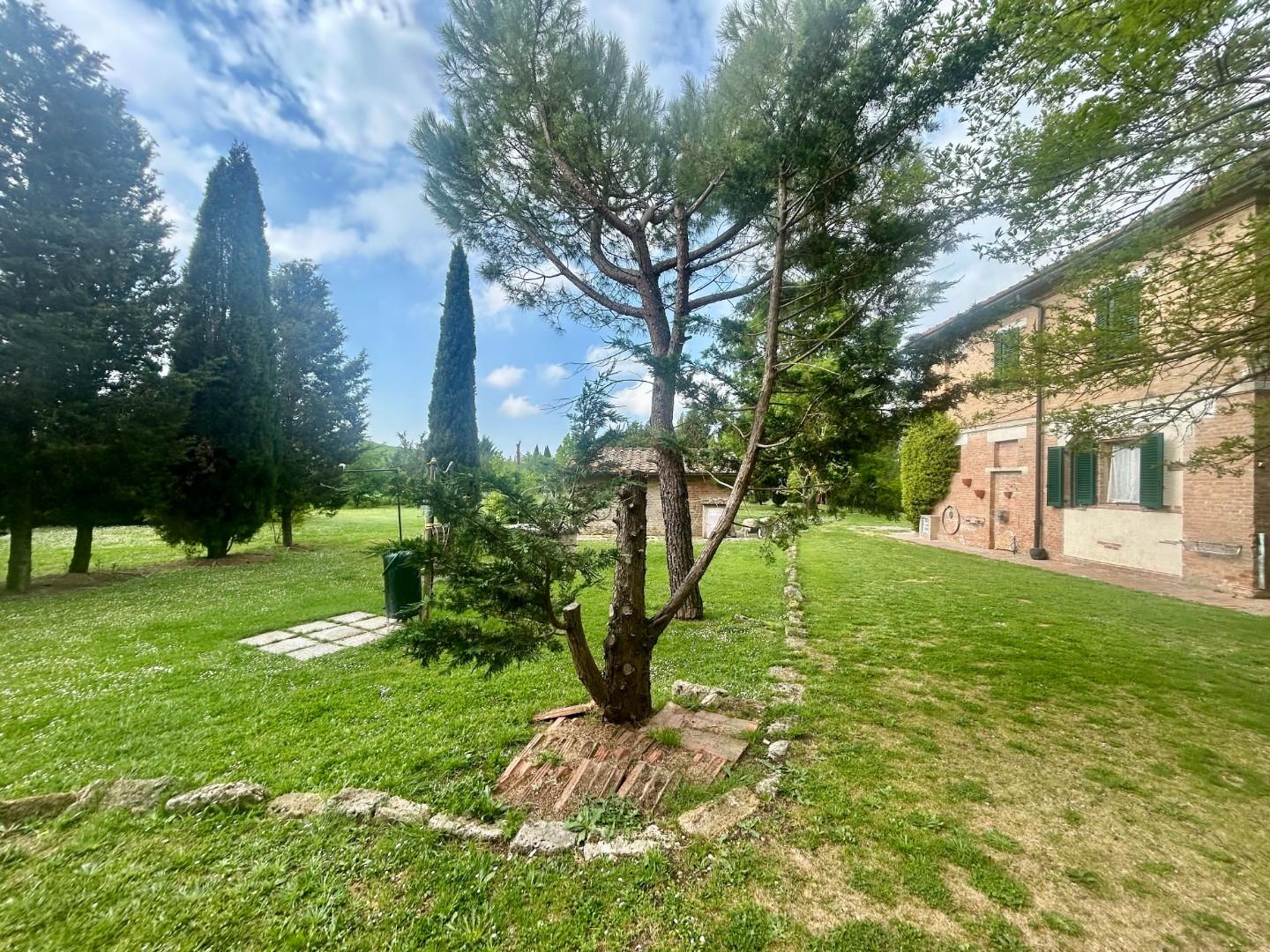 Colonica - Asciano (6/32)