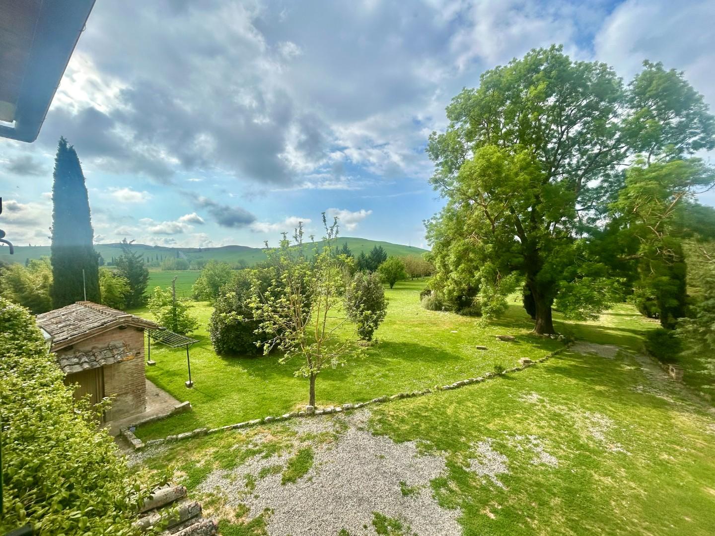 Colonica - Asciano (23/32)