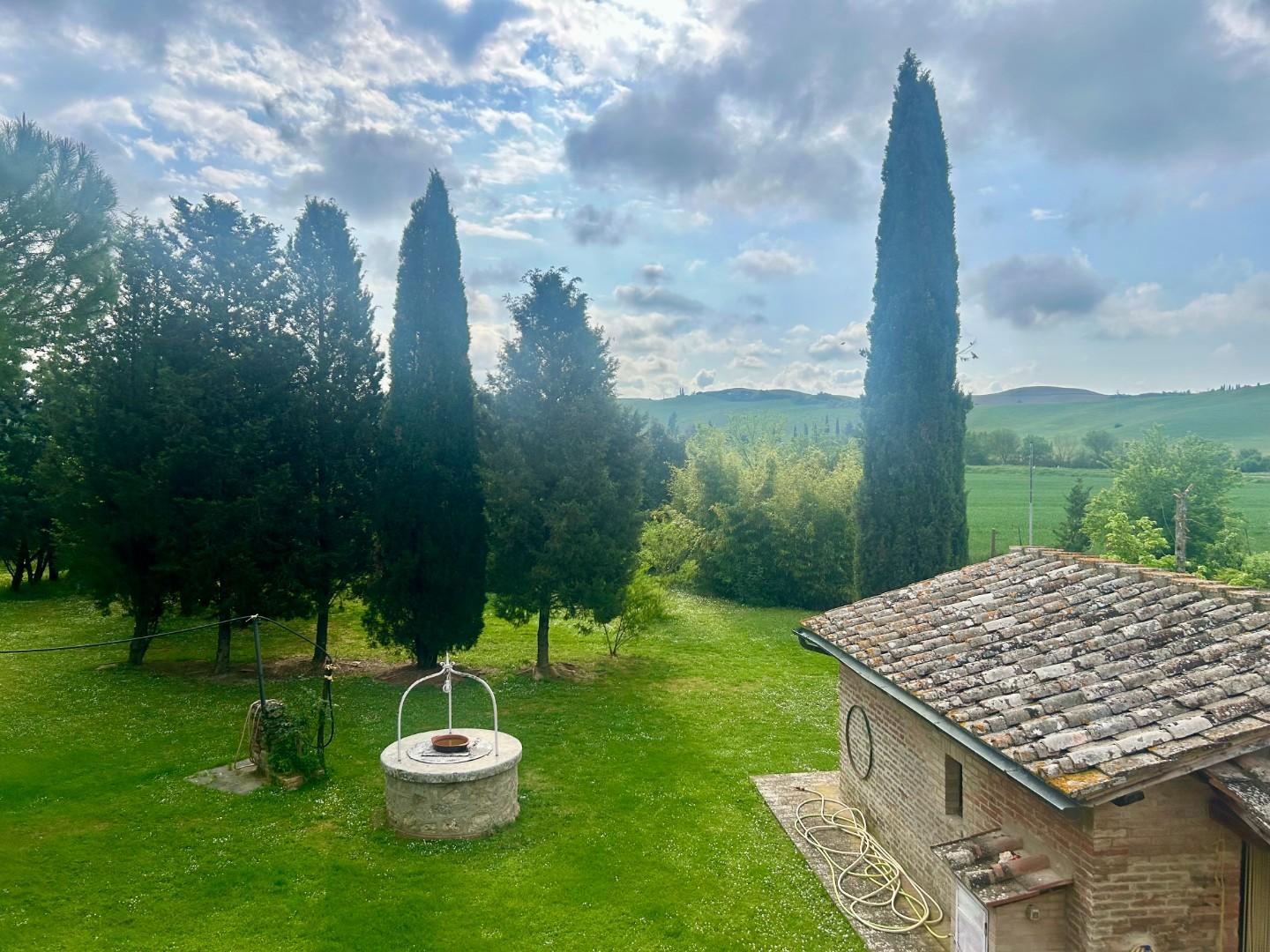 Colonica - Asciano (20/32)