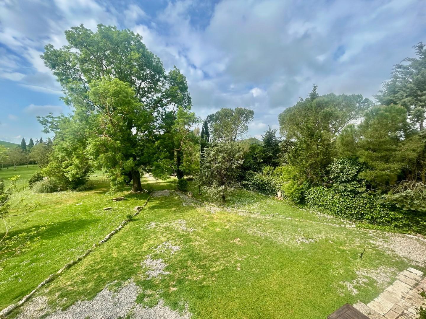 Colonica - Asciano (26/32)