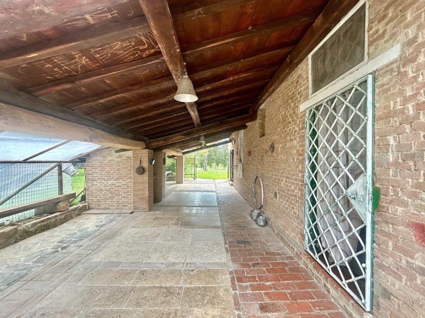 Colonica - Asciano (7/32)