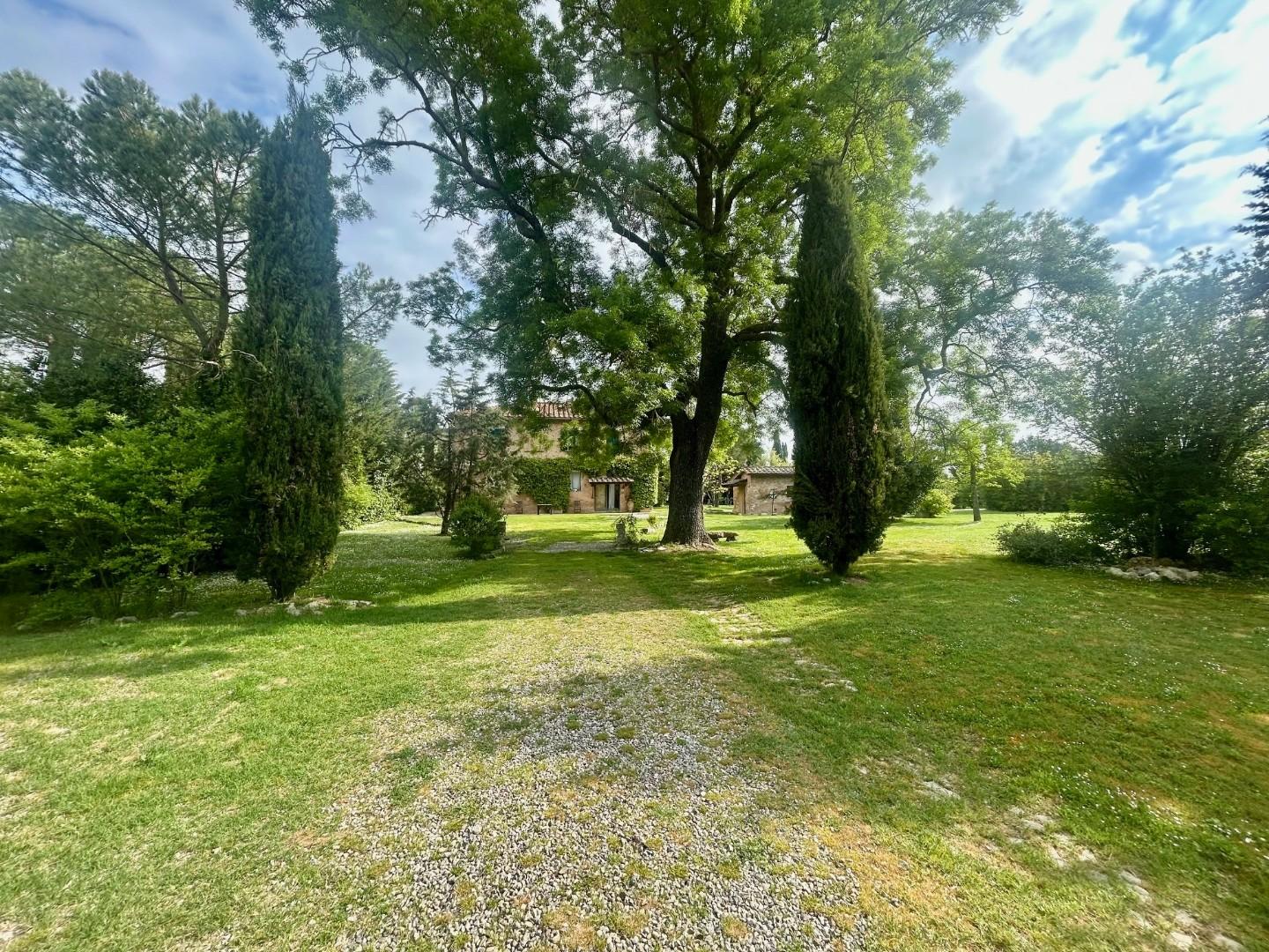 Colonica - Asciano (9/32)