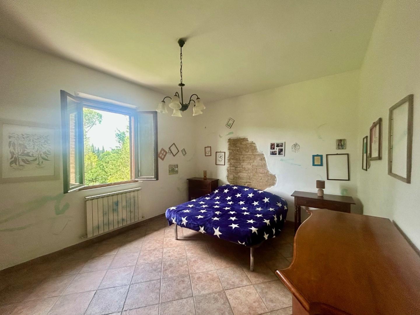 Colonica - Asciano (25/32)