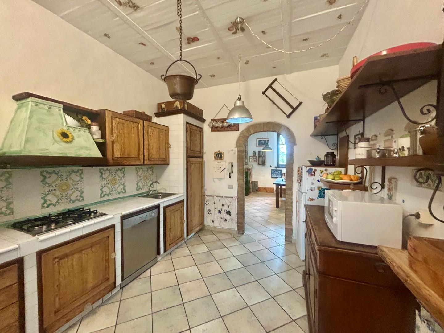 Colonica - Asciano (14/32)