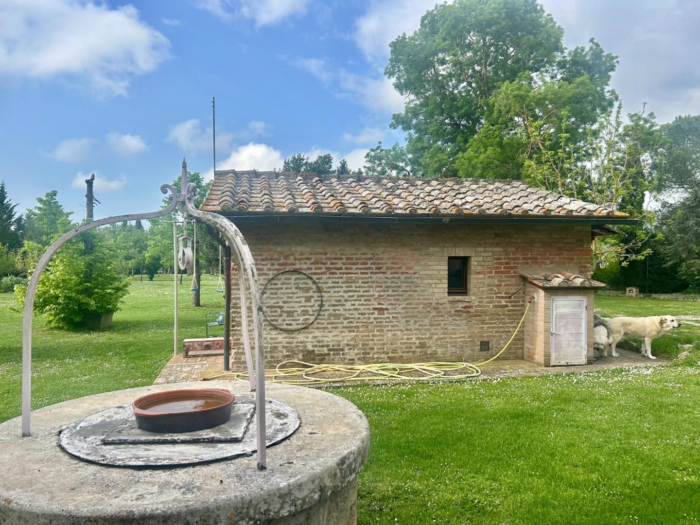 Colonica - Asciano (4/32)