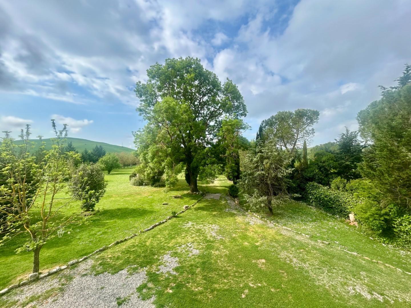 Colonica - Asciano (15/32)