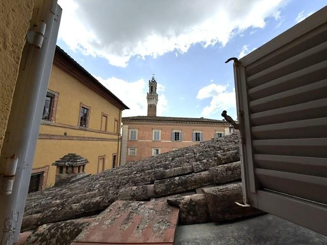 Appartamento - Centro Storico, Siena (21/36)