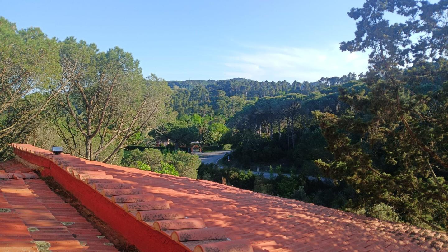 Villa - Gabbro, Rosignano Marittimo (16/25)