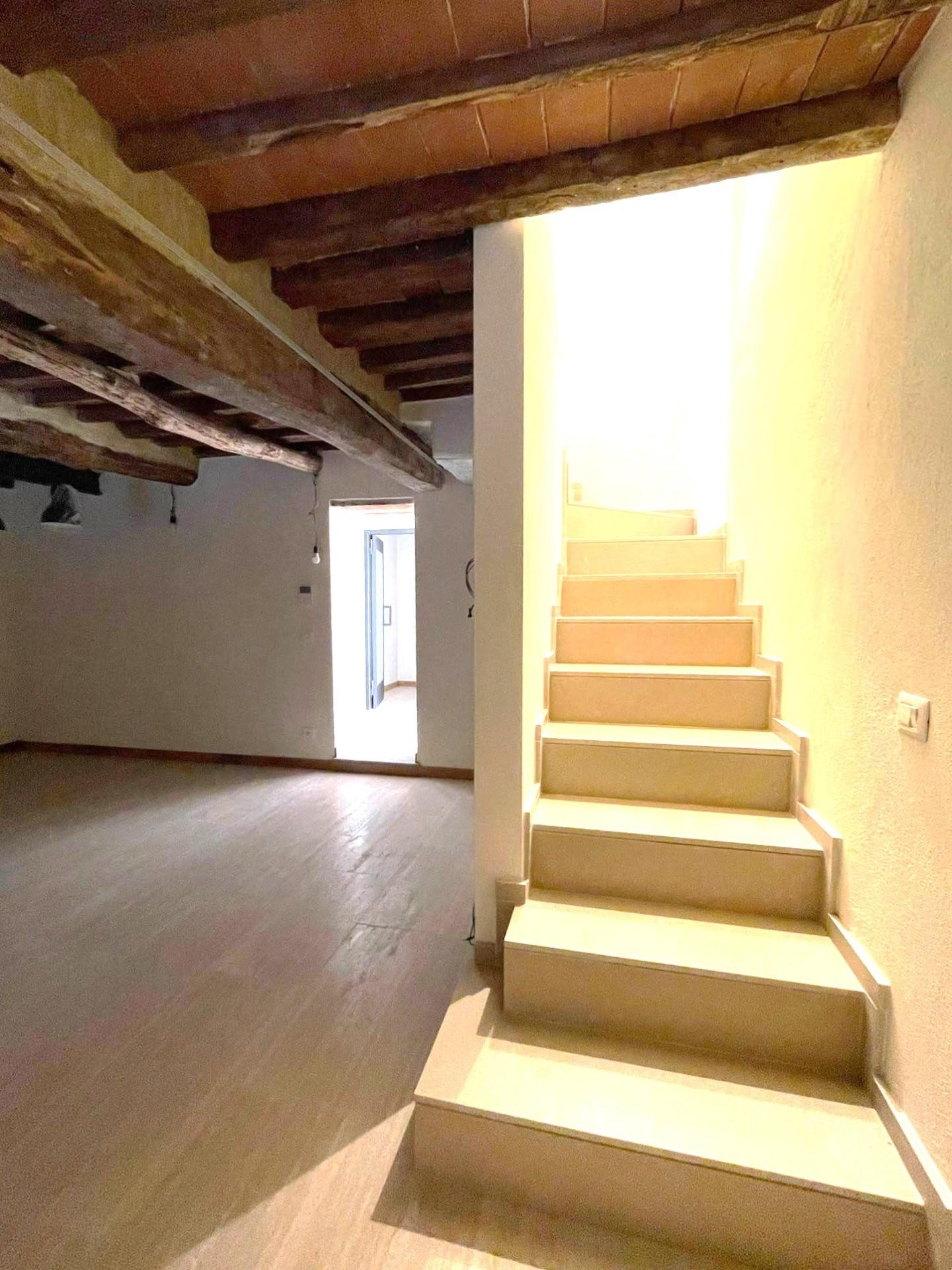 Villa - Pietrasanta (7/22)