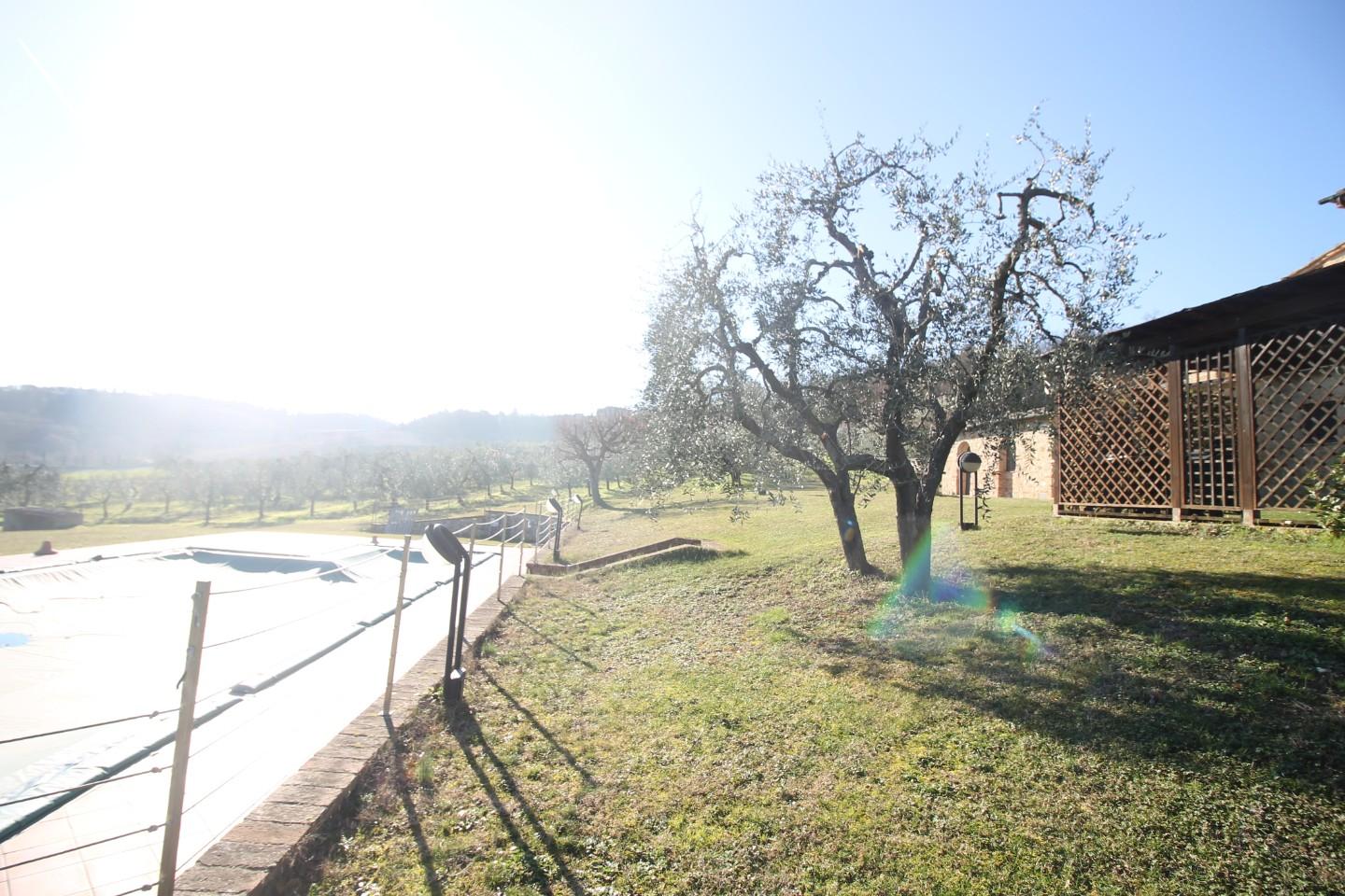 Colonica - Cavallano, Casole d'Elsa (43/54)