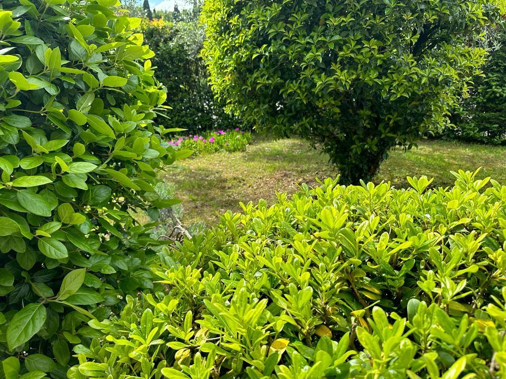 Villa in vendita a Cerreto Guidi