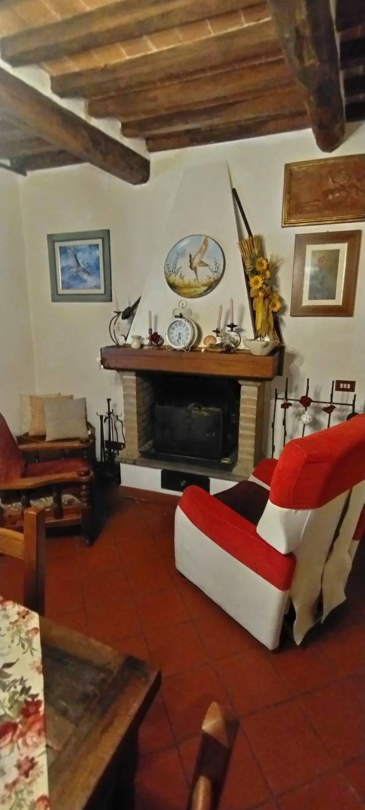 Villa - Massa (14/37)