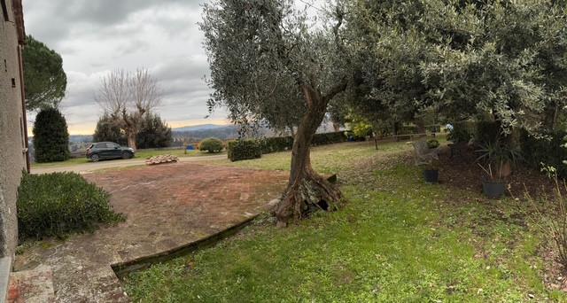 Colonica - Colleoli, Palaia (3/31)