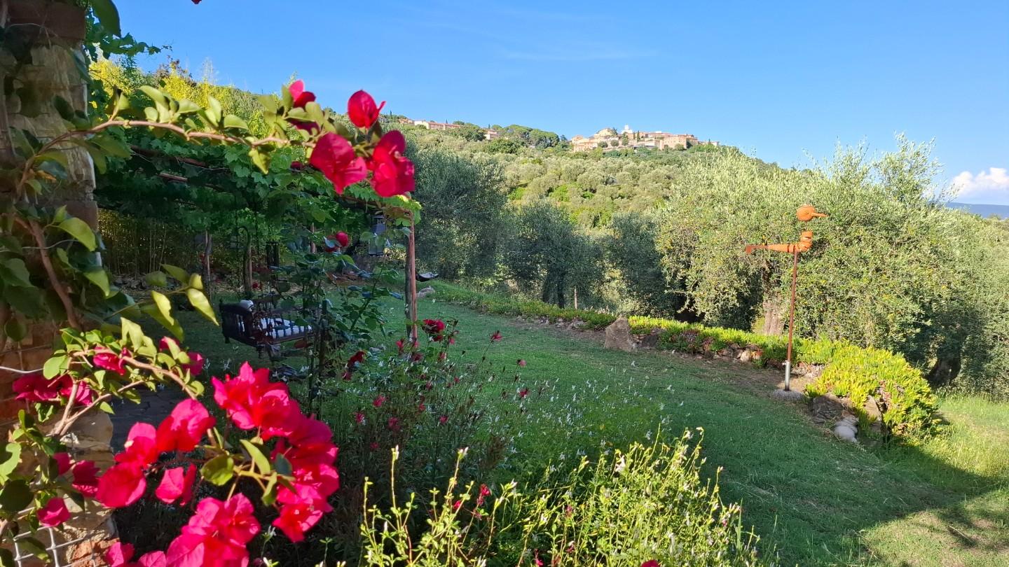 Rustico - Giuncarico, Gavorrano (3/66)