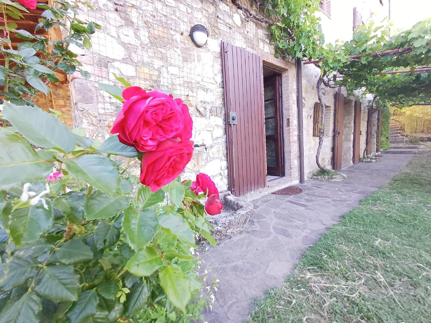 Rustico - Giuncarico, Gavorrano (34/66)