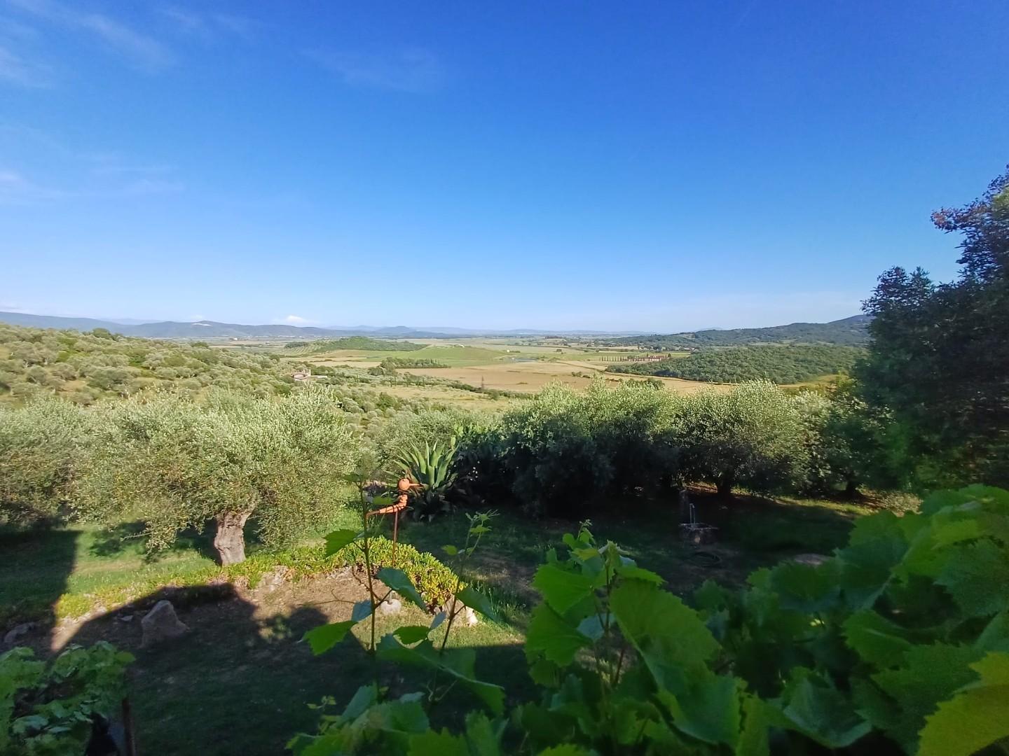 Rustico - Giuncarico, Gavorrano (57/66)