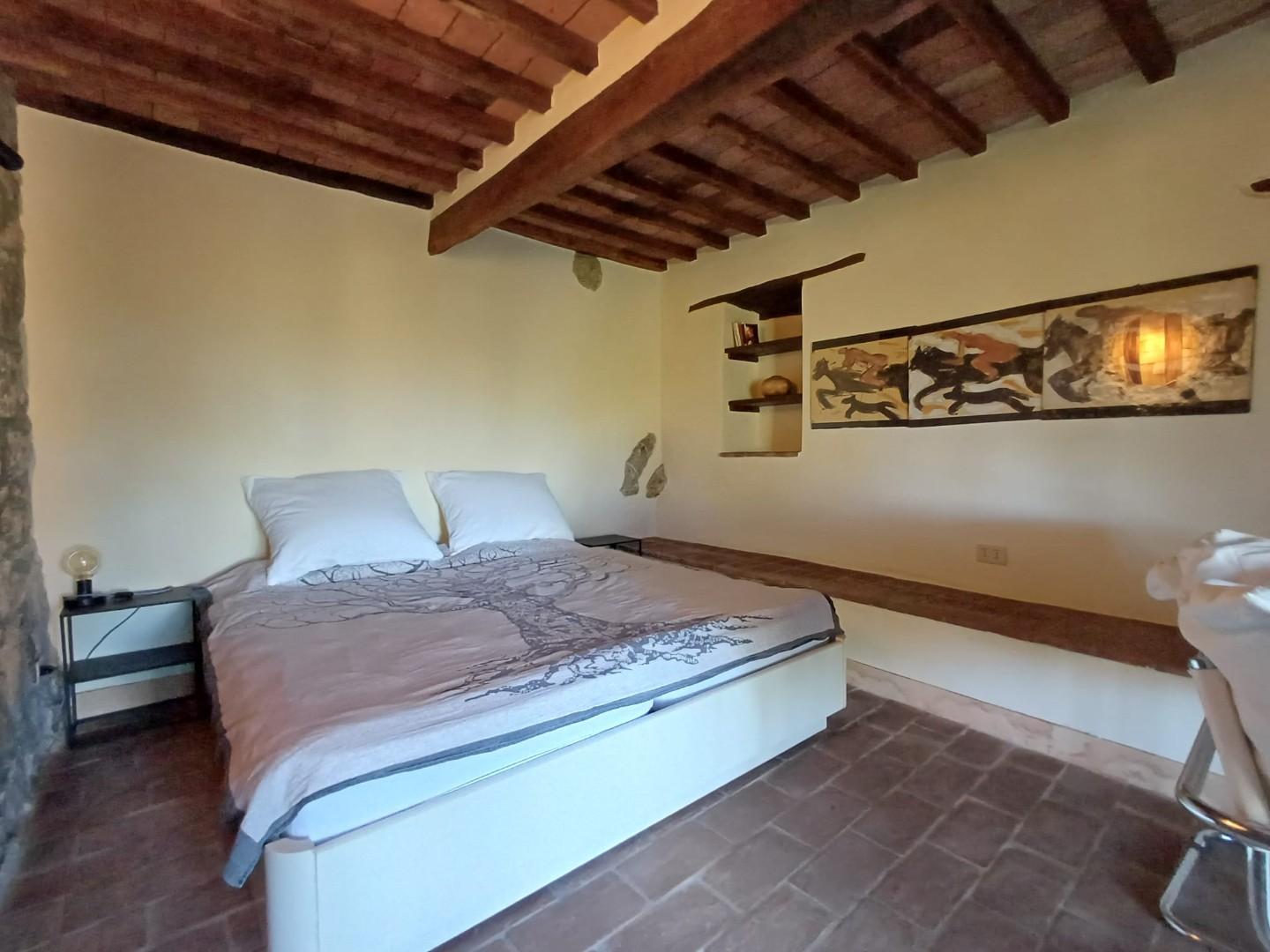 Rustico - Giuncarico, Gavorrano (39/66)