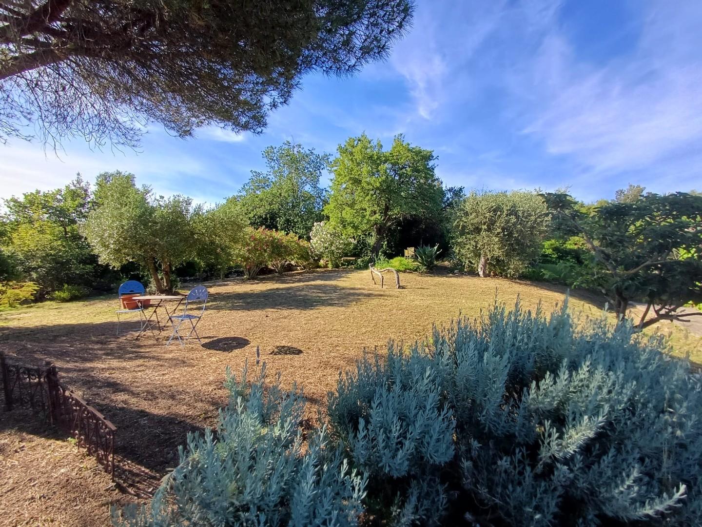 Rustico - Giuncarico, Gavorrano (56/66)