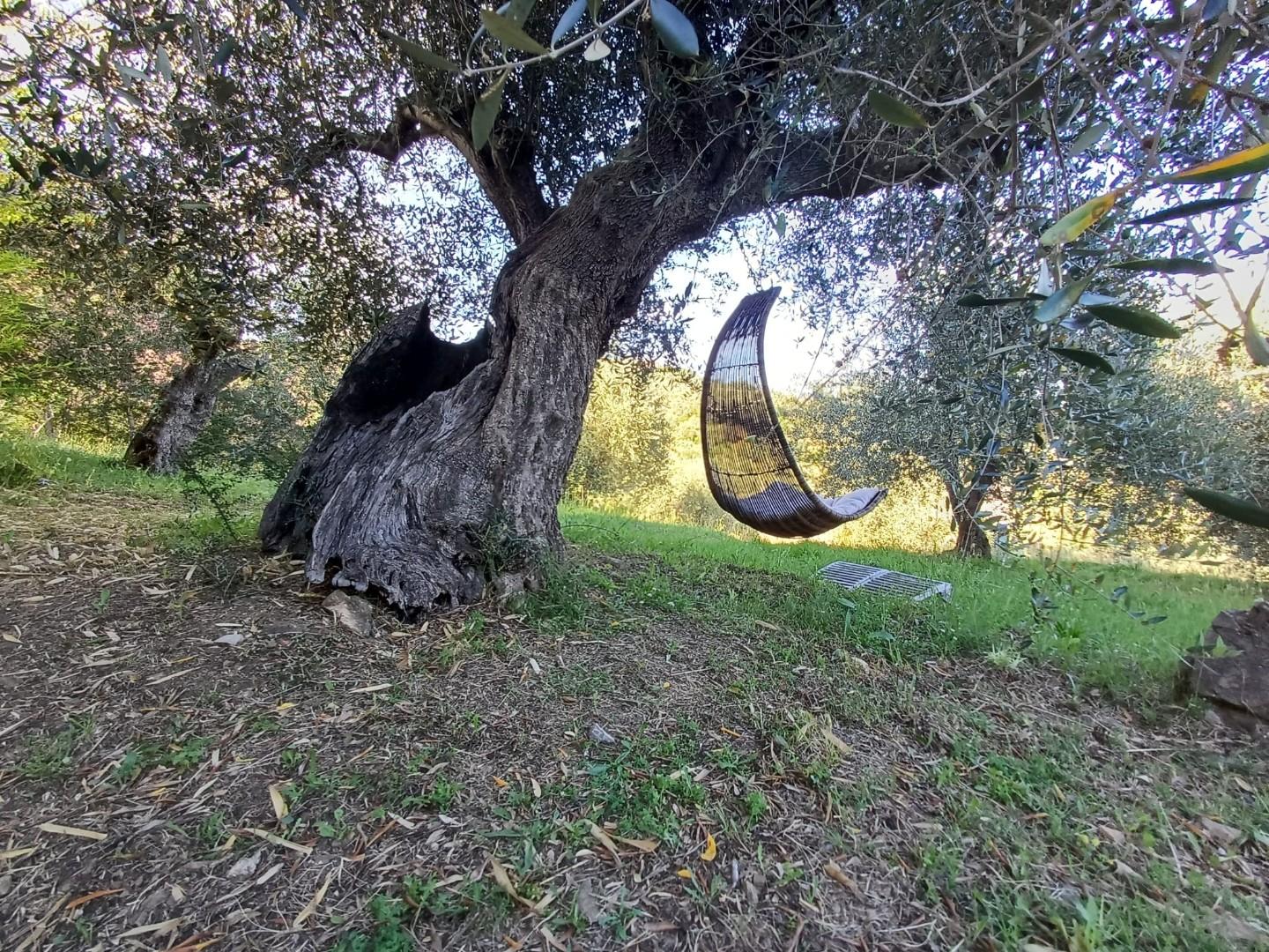 Rustico - Giuncarico, Gavorrano (42/66)