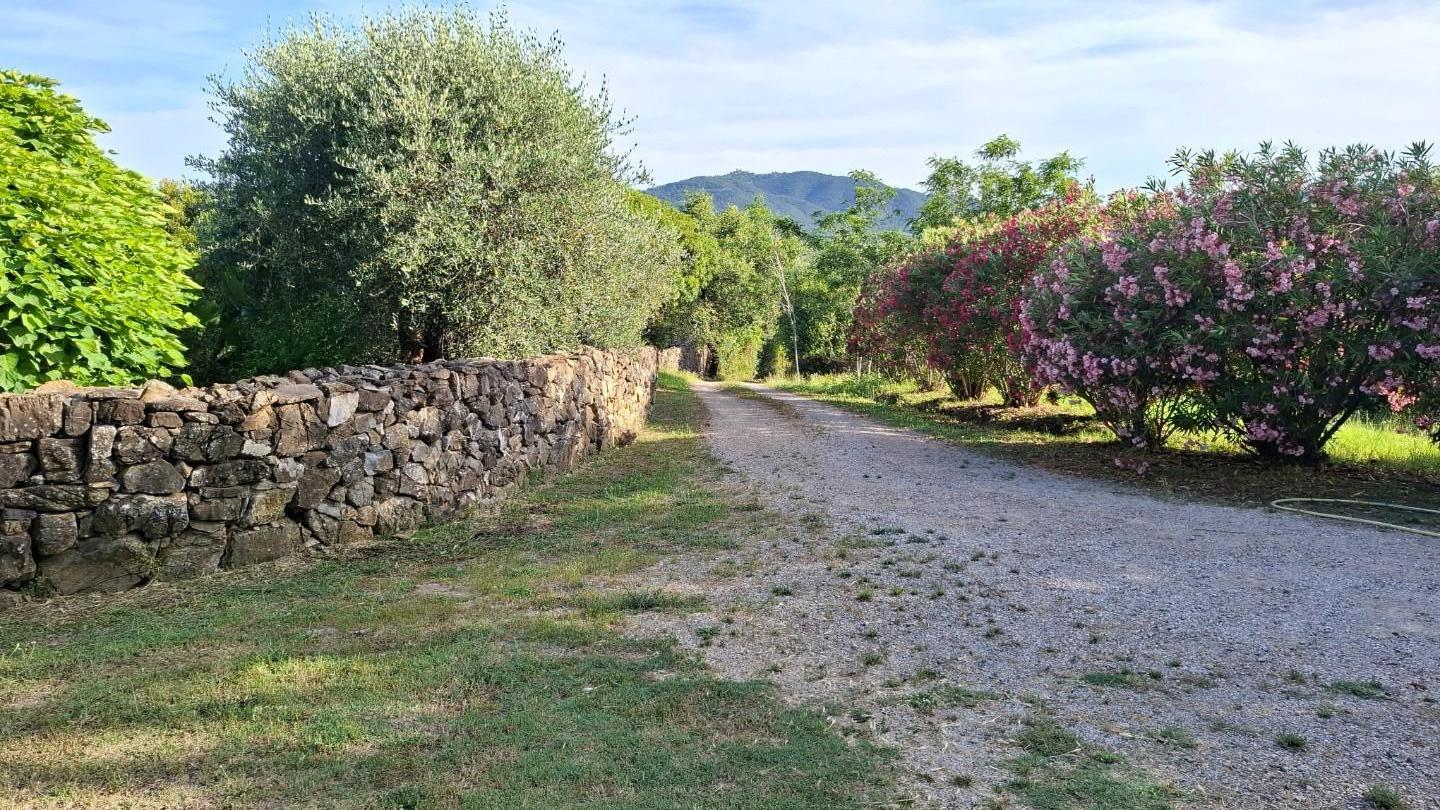 Rustico - Giuncarico, Gavorrano (2/66)