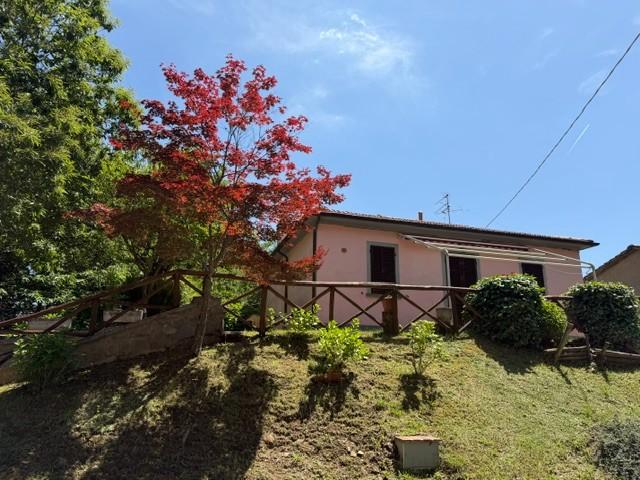 Viareggina in vendita a Marliana