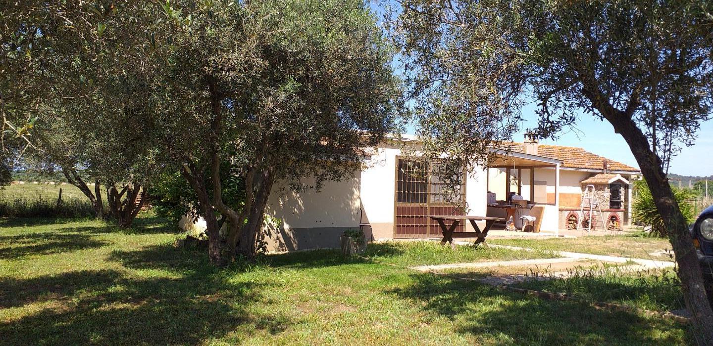 Villa - Magliano in Toscana (5/13)