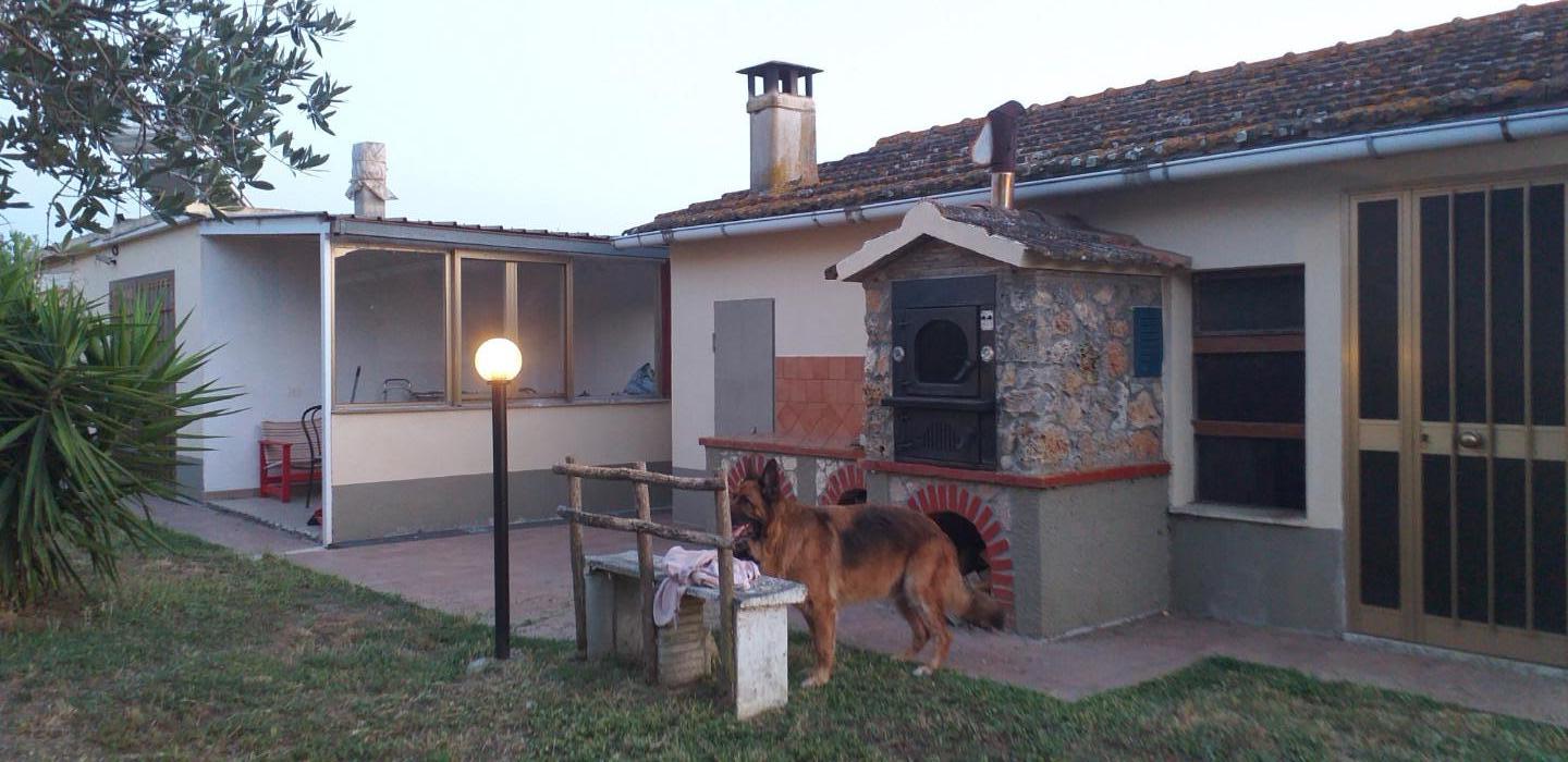 Villa - Magliano in Toscana (4/13)