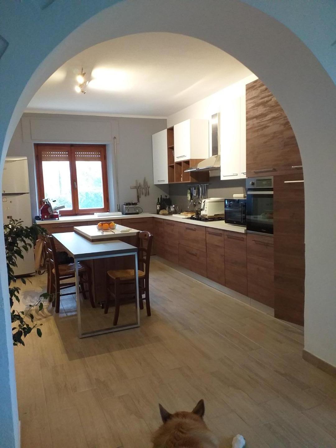 Villa - Magliano in Toscana (7/13)