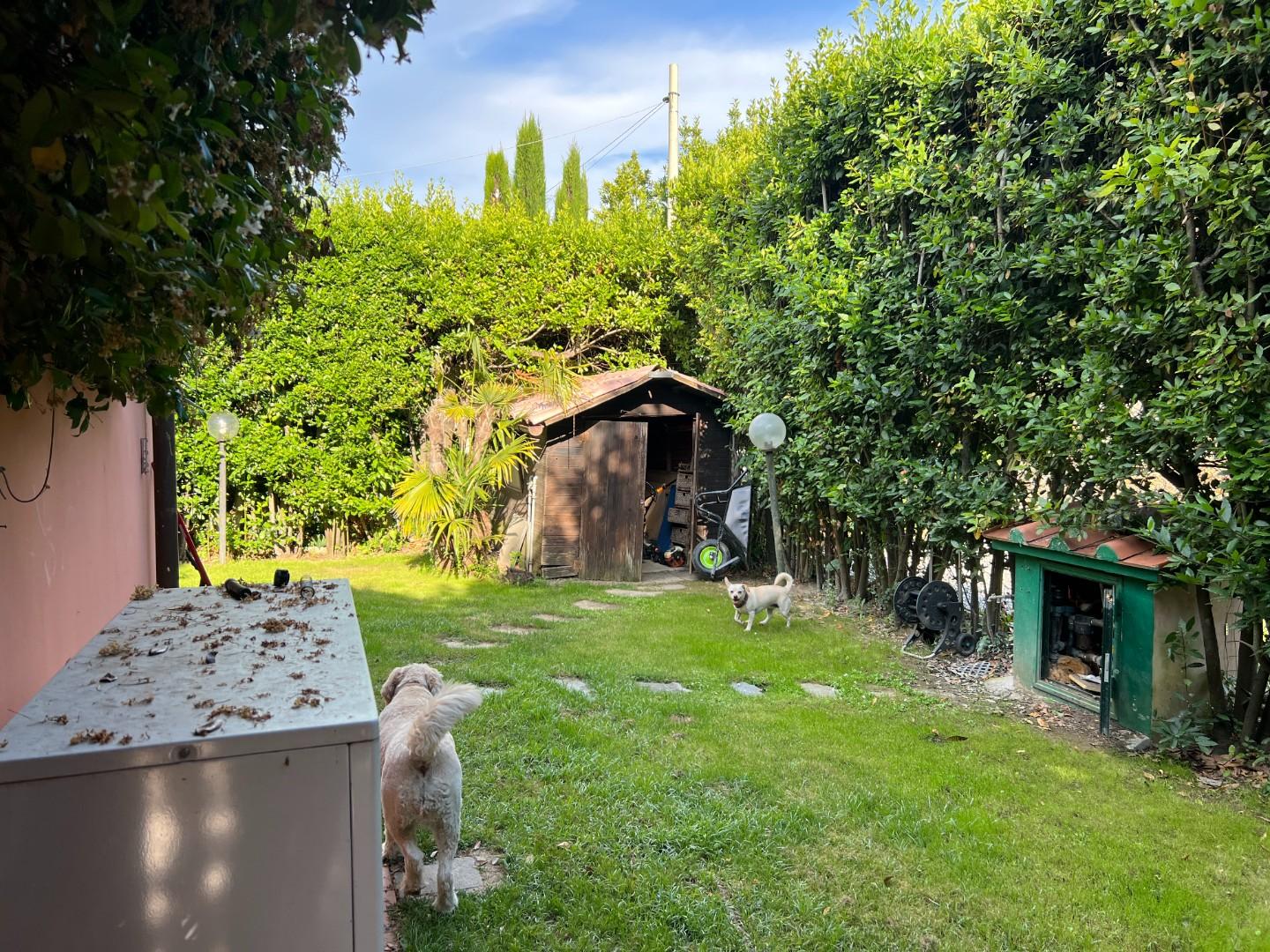 Villa - Tempagnano Di Lunata, Lucca (32/35)