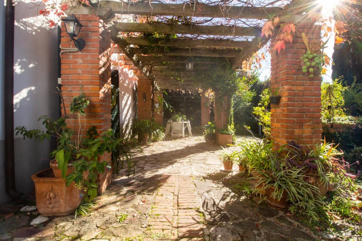 Villa - Rigoli, San Giuliano Terme (29/32)