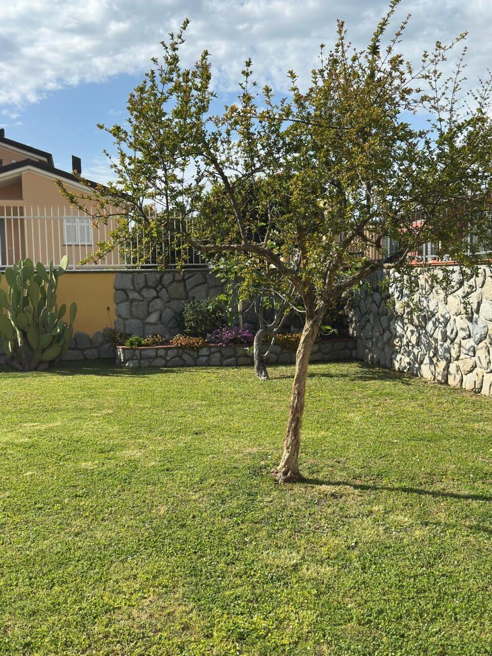 Villa - Castelnuovo Magra (7/39)