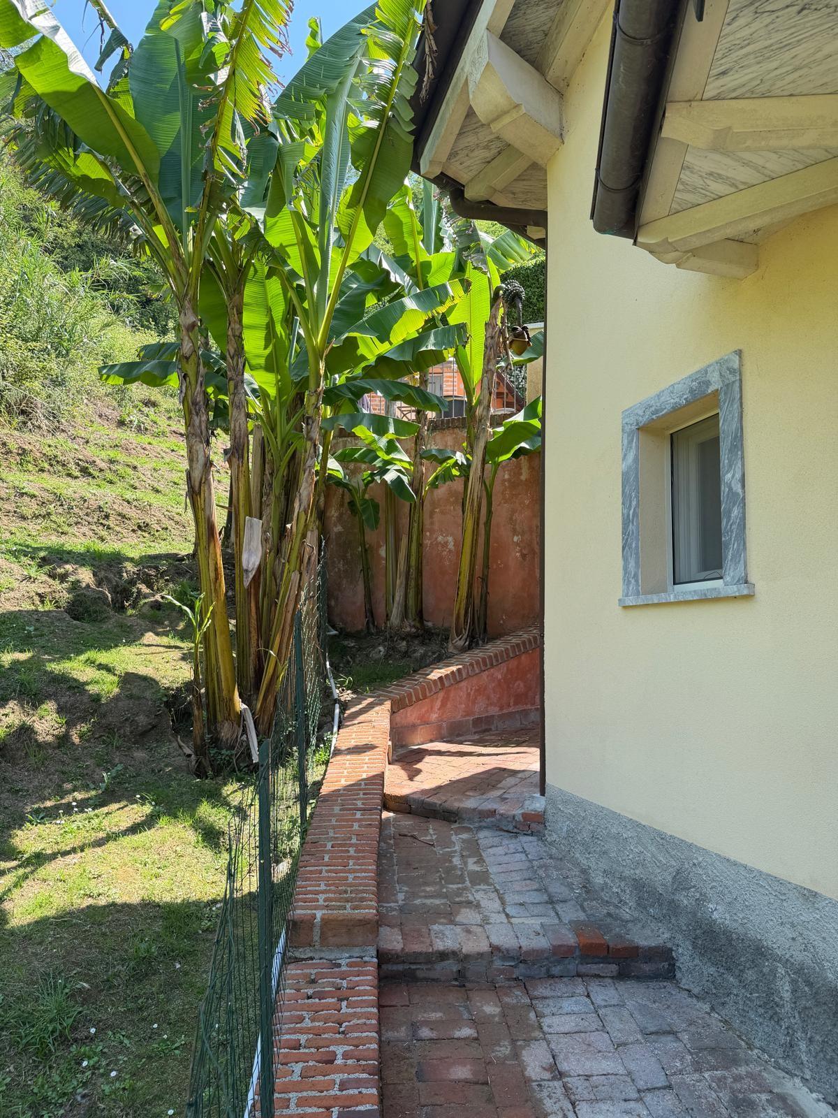 Villa - Ficola, Carrara (5/42)
