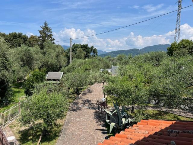 Villa - Cogorno (14/83)