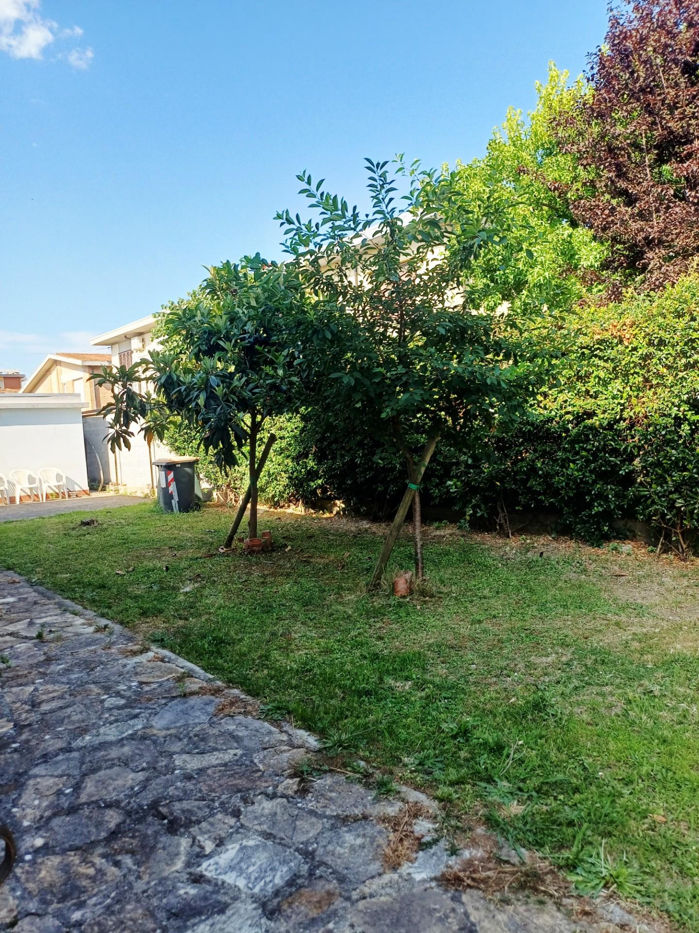 Villa - San Frediano A Settimo, Cascina (3/43)