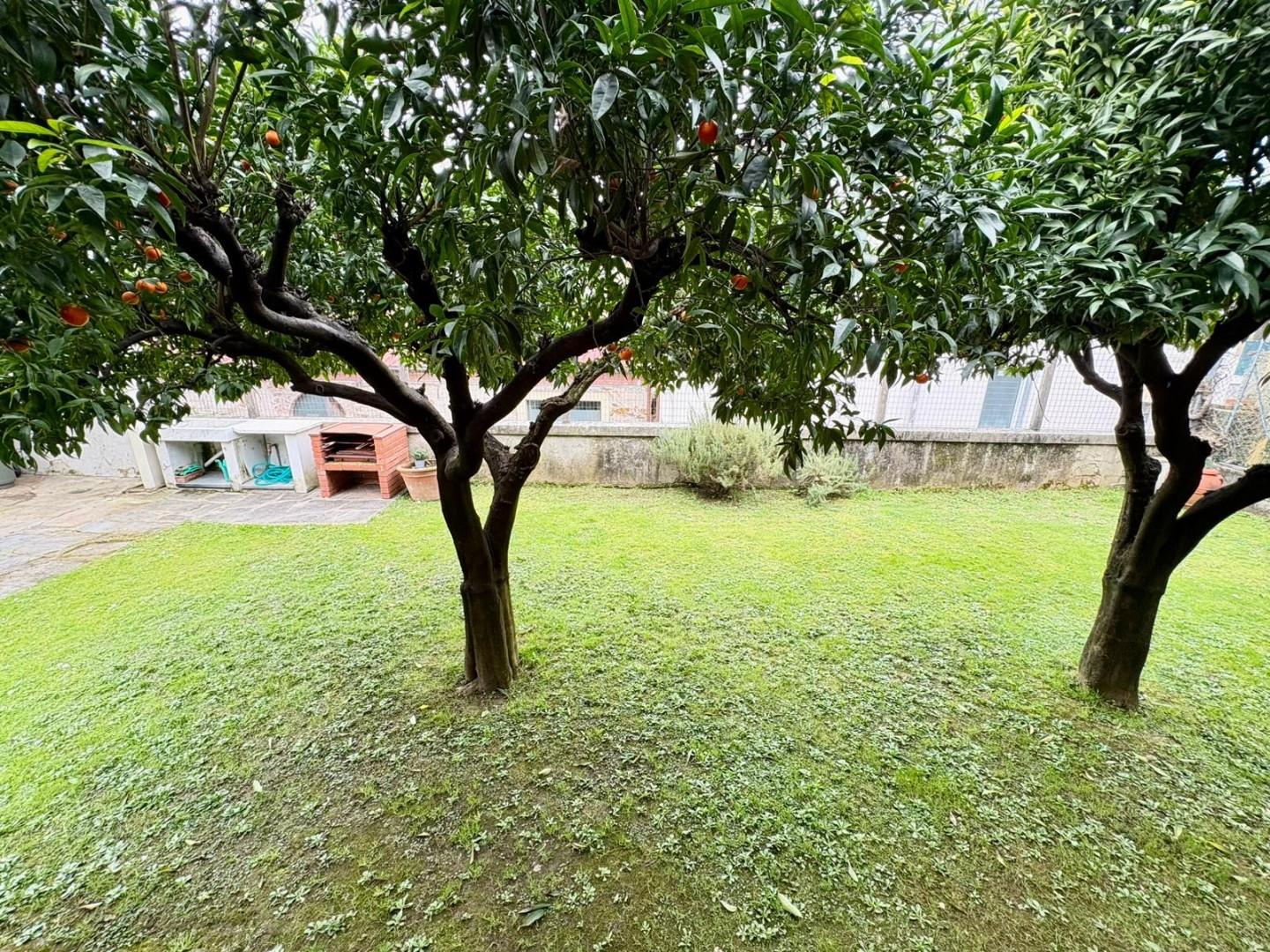 Villa - Massa (27/28)