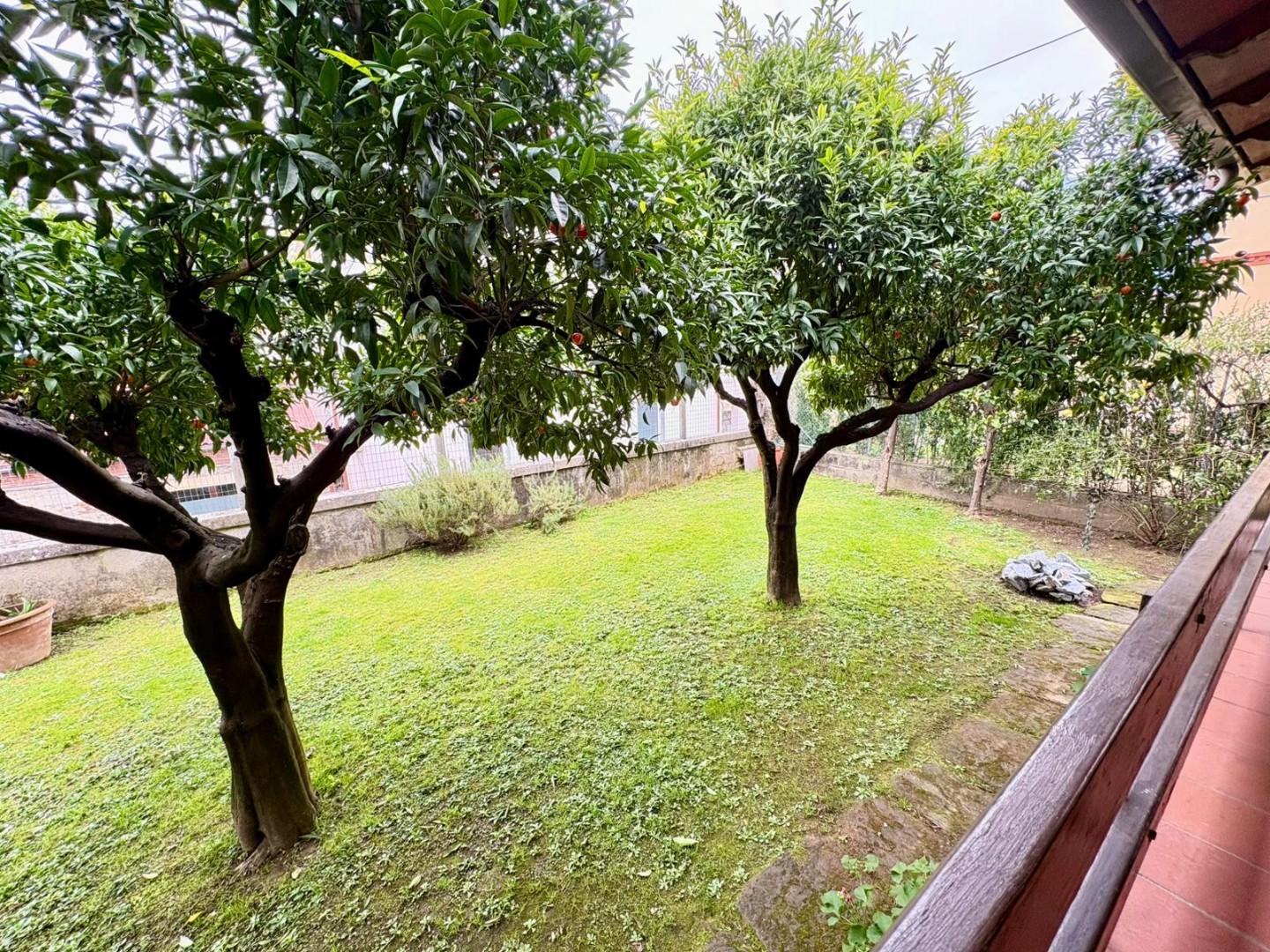 Villa - Massa (28/28)