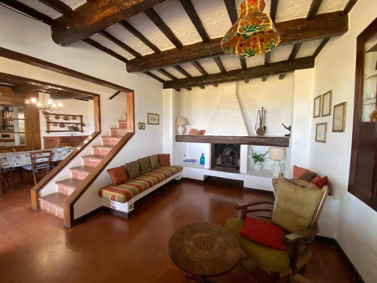 Villa - Capezzano Pianore, Camaiore (34/76)