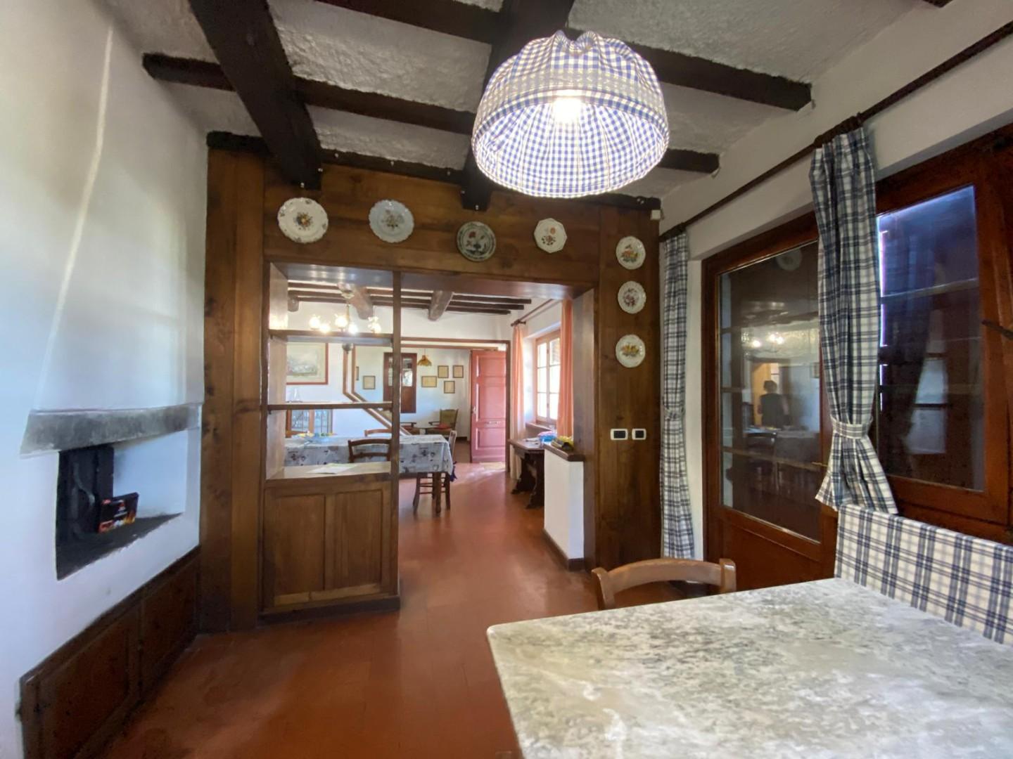 Villa - Capezzano Pianore, Camaiore (26/76)