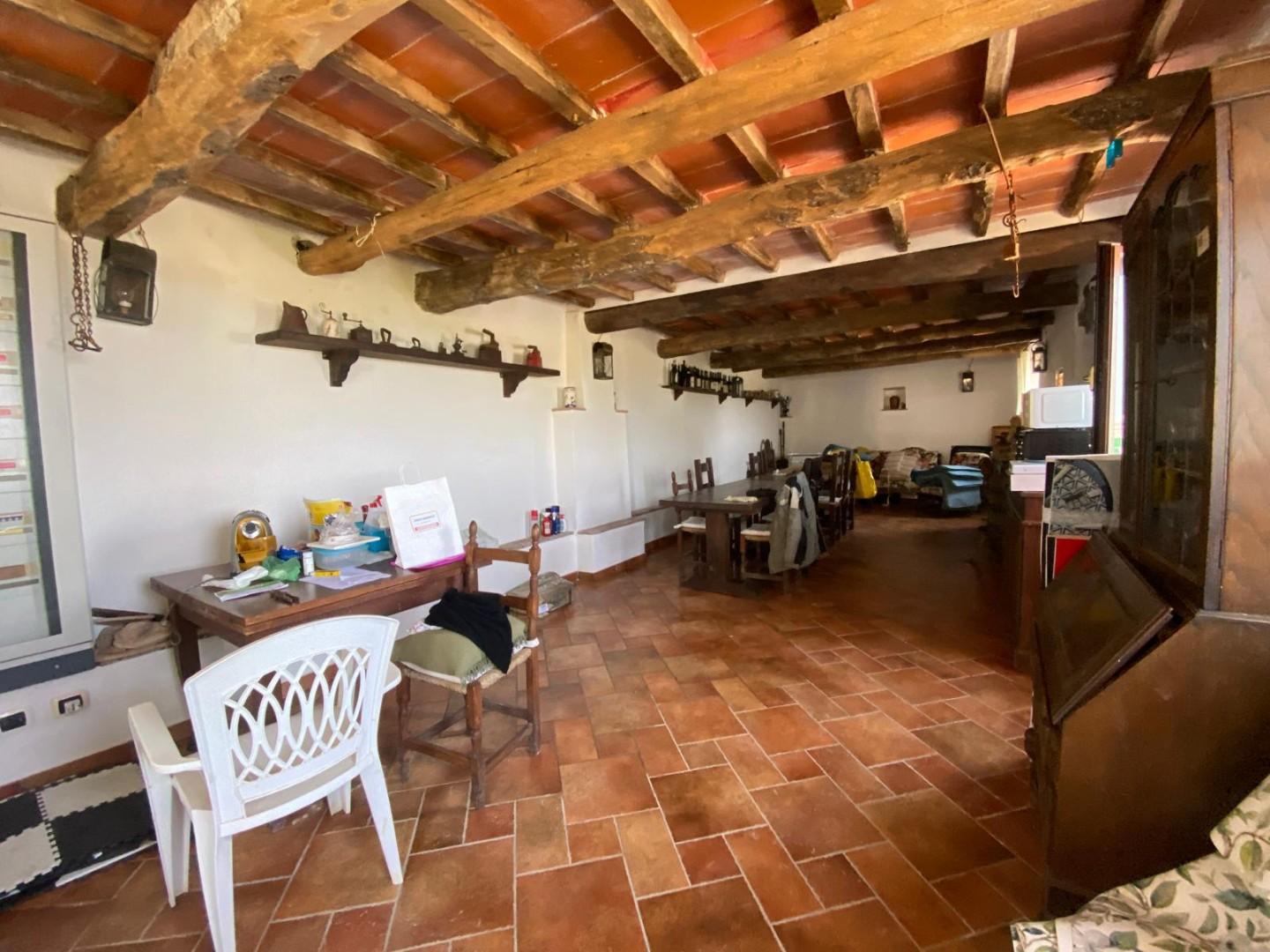 Villa - Capezzano Pianore, Camaiore (20/76)