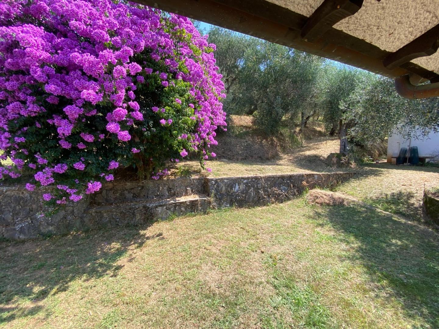 Villa - Capezzano Pianore, Camaiore (67/76)