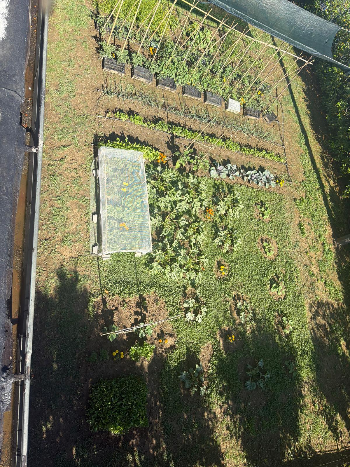 Villa - Pallerone, Aulla (21/33)