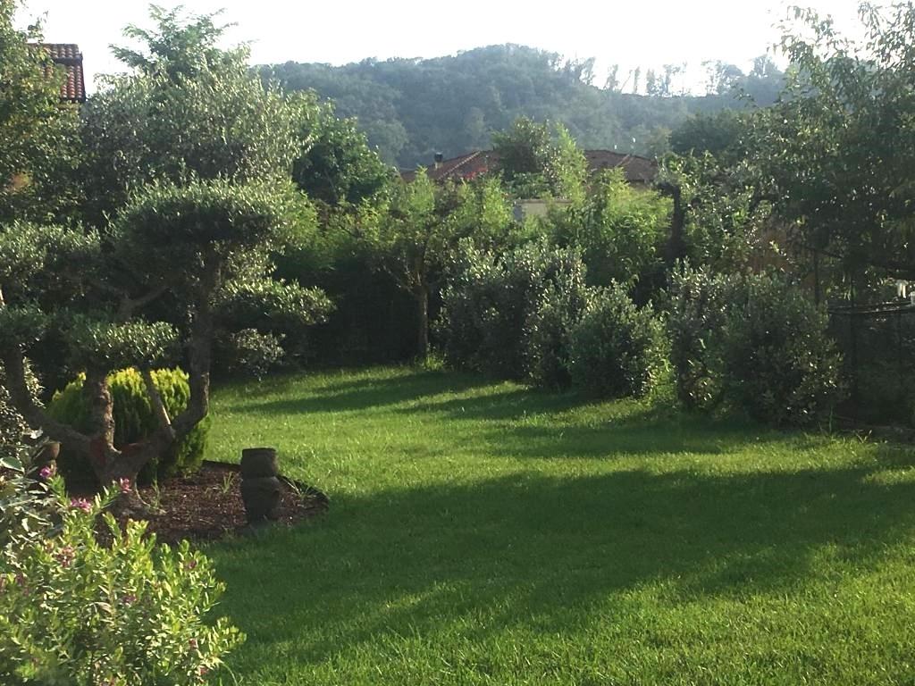 Villa - Romagnano, Massa (43/45)