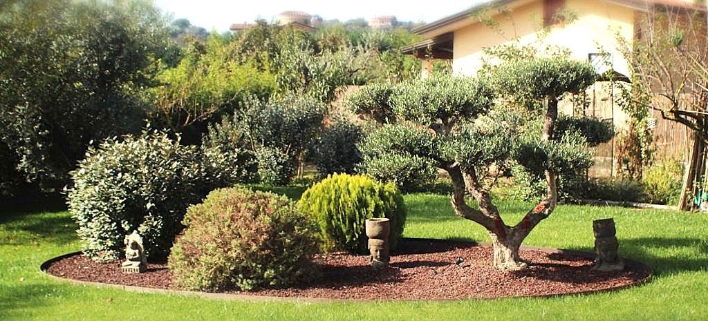 Villa - Romagnano, Massa (41/45)