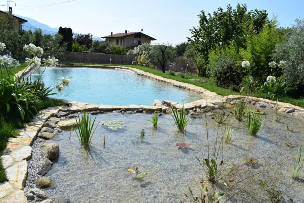 Villa - Romagnano, Massa (44/45)